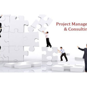 Project Management & Implementation Services