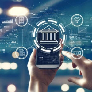 Customized Government-Specific Solutions